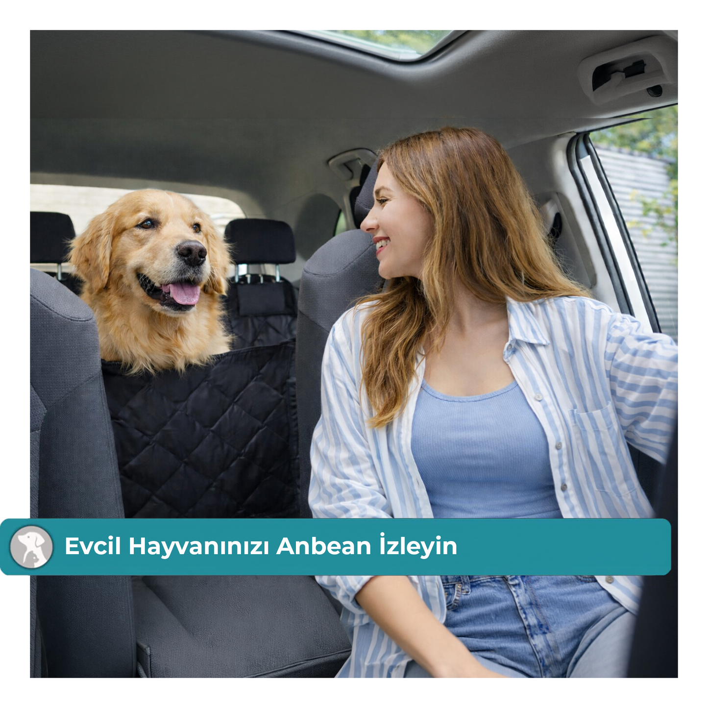 Patigo Köpek Araba Arka Koltuk Kılıfı